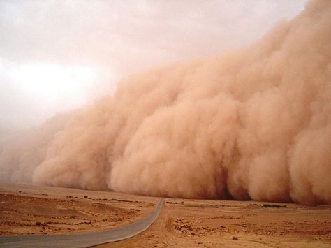 Sophie Paterson Interiors, Body Connection, Body To Body, Dust Storm, Muscle Relaxation, Visit Egypt, Stormy Weather, Higher Consciousness, High Fantasy