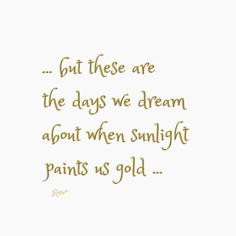 Album Quotes, Gold Quotes, Fields Of Gold, Summer Signs, Autumn Quotes, Summer Quotes, Indian Summer, Staying Alive, Late Summer