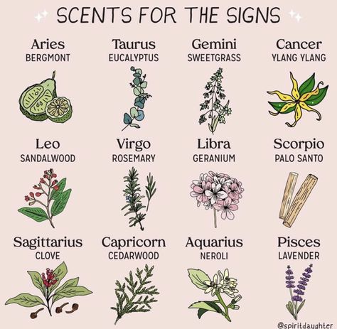 Scents for horoscope signs Astrology Spirit Daughter, Tattoo Plant, Magia Das Ervas, Magic Herbs, Eclectic Witch, The Zodiac Signs, Herbal Magic, Sagittarius And Capricorn, Capricorn And Aquarius