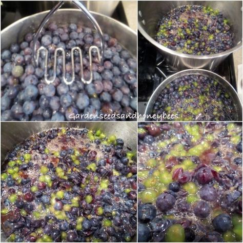 Concord Grape Freezer Jam - Garden Seeds and Honey Bees Concord Grape Freezer Jam, Grape Freezer Jelly, Freezer Grape Jam, Concord Grape Freezer Jam Recipe, Grape Freezer Jam Recipe, Frozen Grapes Recipe, Concord Grape Recipes, Freezer Jams, Grape Jam Recipe