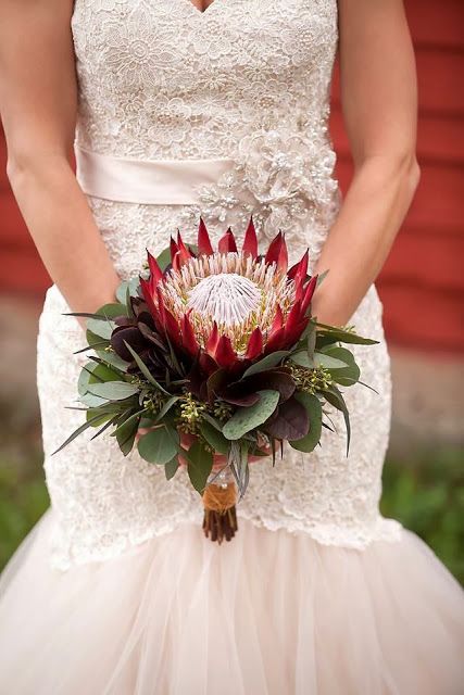 Protea Bouquet Wedding, Protea Bridal Bouquet, Unusual Bouquets, Round Bridal Bouquet, Unusual Wedding Bouquets, Protea Wedding, Small Wedding Bouquets, Protea Bouquet, Starry Night Wedding