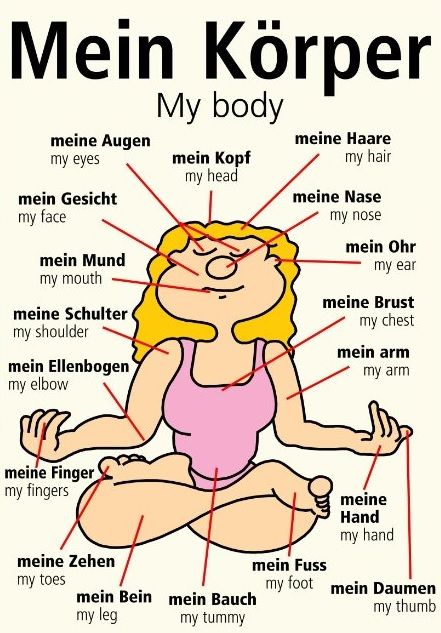 Körperteile deutsch-englisch French Body Parts, German Phrases Learning, Deutsch Language, Study German, German Study, German Phrases, Germany Language, Learn Spanish Online, Basic French Words