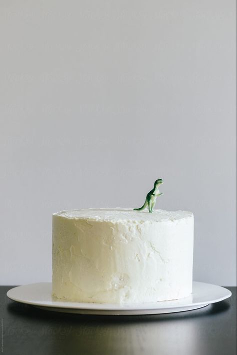 Minimalist Birthday Cake, Dinosaur Topper, Cake Minimalist, Minimalist Cake, Minimalist Birthday, Dinosaur Cake, Pretty Birthday Cakes, A Dinosaur, Coconut Cake