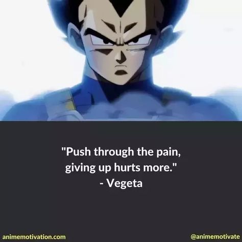 Vegeta Quote, Vegeta Quotes, Dbz Quotes, Ball Quotes, Balls Quote, Funny Dragon, Dragon Ball Super Wallpapers, Dragon Ball Super Goku, Anime Quotes Inspirational