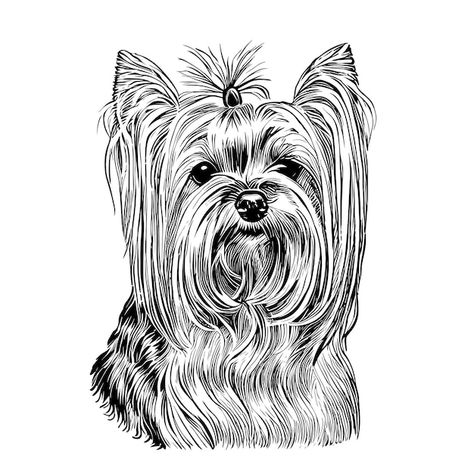 Dog yorkshire terrier sketch hand drawn ... | Premium Vector #Freepik #vector #pomeranian-dog #pomeranian #cool-dog #yorkshire-terrier Dog Pomeranian, Terrier Rescue, Face Outline, Cairn Terriers, Animal Coloring, Pomeranian Dog, Cairn Terrier, Animal Coloring Pages, Terrier Dogs