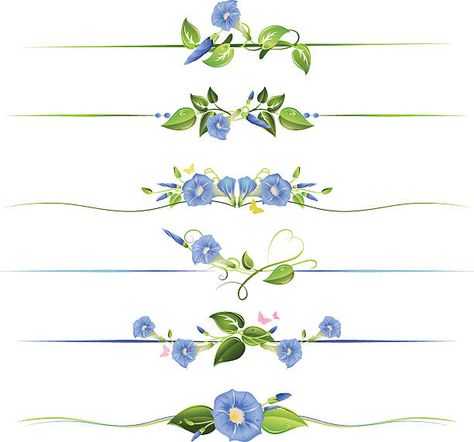 2,800+ Morning Glory Illustrations, Royalty-Free Vector Graphics & Clip Art - iStock | Morning glory flower, Morning glory cloud, Blue morning glory Floral Dividers, Morning Glory Tattoo, Glory Tattoo, Flower Vine Tattoos, Morning Glory Vine, Flower Tat, Blue Morning Glory, Morning Glory Flowers, Vine Tattoos