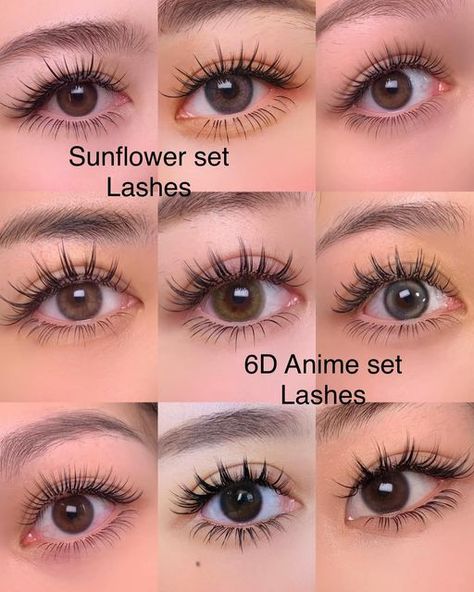 Kawaii Lashes, Anime Sunflower, Anime Set, Book Appointment Now, J Makeup, Lashes Fake Eyelashes, Eyelash Extensions Styles, Soft Makeup Looks, Doll Eye Makeup