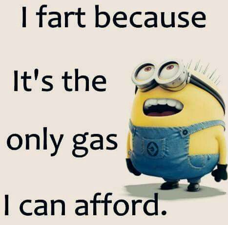 :) Minion Meme, Minion Memes, Minions Humor, Funny Minion Pictures, Funny Minion Memes, Fart Jokes, Minion Jokes, A Minion, Funny Disney Memes