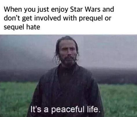 #StarWars #RogueOne Star Wars Meme, Image Positive, Crush Memes, Dc Memes, Peaceful Life, Very Funny Pictures, Star Wars Humor, Star Wars Memes, Disney Memes