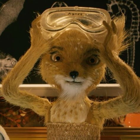 Results for quiz which fantastic Mr. Fox character are you?? Mr Fantastic Fox Pfp, Fantastic Mr Fox Agnes, Ash Fantastic Mr Fox Icon, Fantastic Mr Fox Pfp, Fantastic Mr Fox Characters, Fantastic Mr Fox Aesthetic, Fantastic Mr Fox Movie, Fox Icon, Fox Character