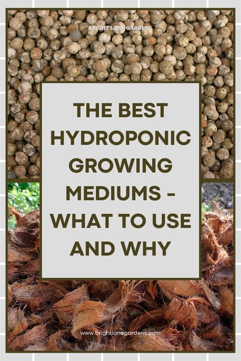 Learn everything you need to know to choose the best hydroponic growing mediums for your setup. We took the most common growing mediums and broke them down by pros and cons, and what to avoid all together! #hydroponic #hydro #growyourownfood #gardening #indoorgarden Hydroponic Potatoes, Kratky Hydroponics, Diy Hydroponic Garden Indoor, Best Plants For Hydroponics, What To Plant In Hydroponics, What To Grow In Hydroponics, Semi Hydroponic Houseplants, How To Build A Hydroponic System, Hydroponics Setup