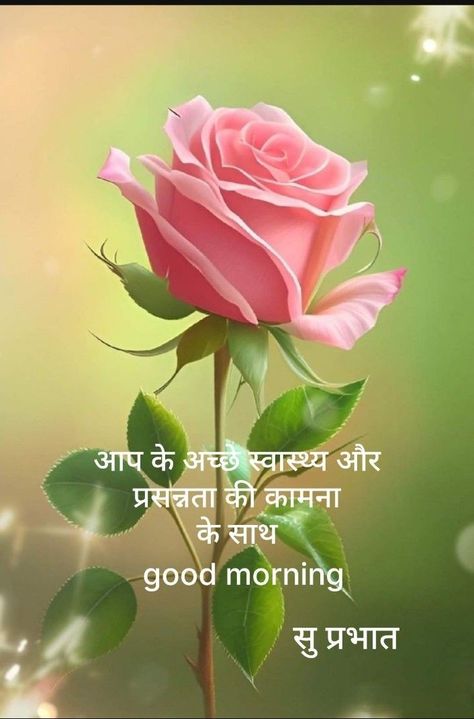 Saved Quotes, Good Morning Wishes Friends, Views Nature, Good Morning Dear Friend, Good Night Love Messages, Good Morning Flowers Rose, Afternoon Quotes, Good Morning Beautiful Gif, Morning Rose