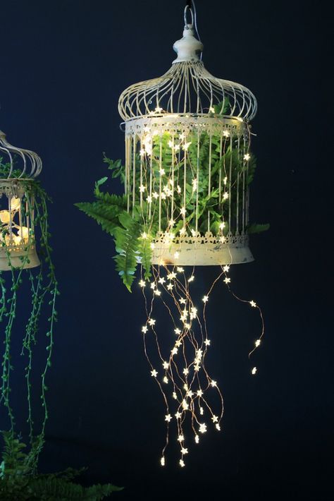 A vintage bird cage has been filled with ferns and fairy light Birdcage Planter, Bird Cage Centerpiece, Star Fairy, Garden Winter, نباتات منزلية, Lights Bedroom, Bird Cage Decor, Vintage Bird Cage, Birdcages