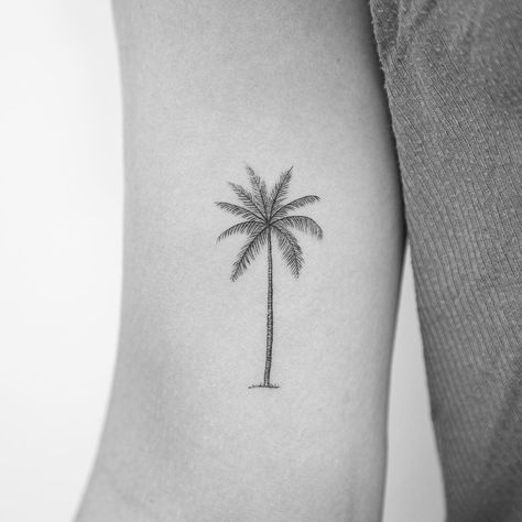 30 Stunning Palm Tree Tattoo Ideas for a Tropical Vibe - 100 Tattoos Elegant Palm Tree Tattoo, Small Palm Trees Tattoo, Palm Tree Tattoo Bicep, Palm Tree With Initials Tattoo, Delicate Palm Tree Tattoo, Coconut Tree Tattoo Minimalist, Palm Tree Fine Line Tattoo, Little Palm Tree Tattoo, Dainty Palm Tree Tattoo