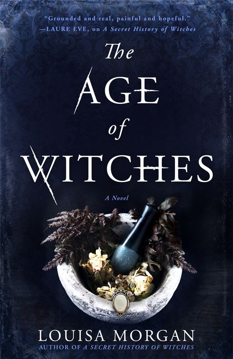 THE AGE OF WITCHES by Louisa Morgan | Orbit Books Witch Novels, Witch History, Witchcraft Books, By Any Means Necessary, Witch Books, Gilded Age, The Secret History, A Novel, I Love Books