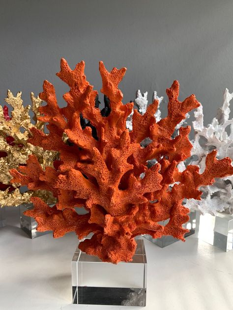 Coral Reef Decor, Coral Decorating Ideas, Coral Living Room Decor, Poseidon Altar, Sea Coral Decor, Coral Reef Decorations, Coral Bathroom Decor, Stone Shelf, Coral Texture