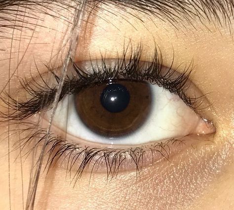 Brown Eyes Aesthetic, Eyes Aesthetic, Aesthetic Eyes, Pretty Eyes, Brown Eyes, Make Your Day, Short Videos, Lashes, Vision Board