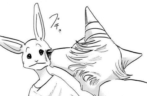 Haru Beastars, Beastars Legosi, Beast Stars, Reference Poses, All Anime, Memes Funny, Anime Comics, Interesting Art, Manga Anime