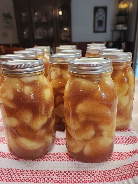 Homemade Amish Apple Pie Filling: A Taste of Tradition Small Batch Apple Pie Filling, Amish Apple Pie Filling, Small Batch Canning Recipes, Amish Apple Pie, Canned Apple Pie, Canning Apple Pie Filling, Apple Pie Filling Recipe, Canning Apples, Apple Pie Filling Recipes