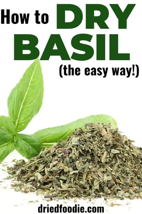 Dry Basil Leaves In Oven, How To Dry Out Basil Leaves, How To Dry Fresh Basil Leaves, Drying Basil Leaves Dehydrator, How To Dehydrate Basil Leaves, How To Dehydrate Basil, How To Dry Basil Leaves In Microwave, Drying Basil Leaves In Oven, Drying Basil In Microwave