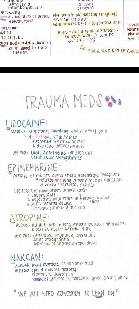 A&p Notes Nursing Schools, Emt Basic Pharmacology, Med Cards Nursing, Skin Integrity And Wound Care Nursing, Nursing Students Notes, Pharmacology Paramedic, Aesthetic Nursing Notes, Pharmacy Notes Aesthetic, Np School Aesthetic