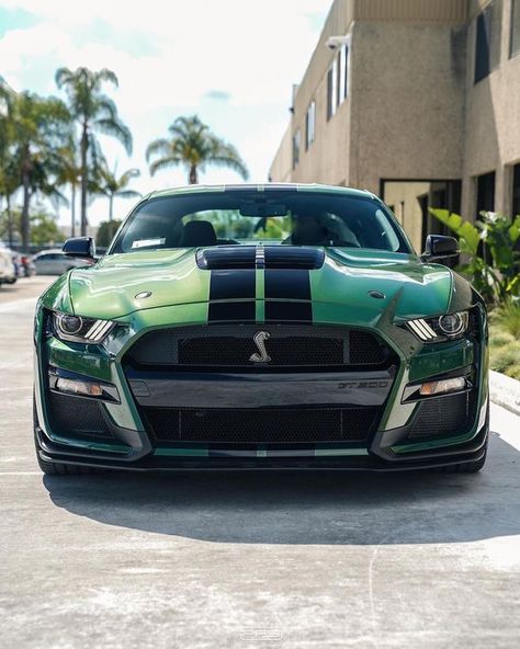 Green Mustang, Mustang Wallpaper, Mustang Gt500, Ford Mustang Shelby Gt500, 4 By 4, Ford Ka, Toyota 4, Ford Capri, Ford Shelby