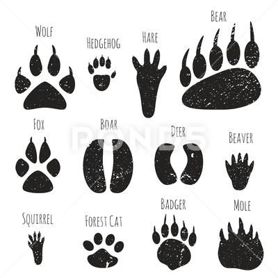 Footprint Drawing, Animals Footprints, Cow Vector, Animal Footprints, Animal Tracks, Dog Vector, Christmas Decorations Diy Outdoor, Cute Mermaid, Forest Animal