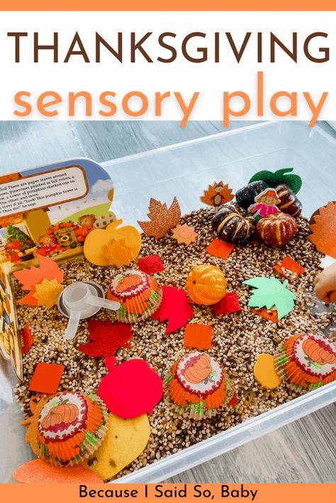 Sensory Bins Thanksgiving, Pilgrim Sensory Activities, November Activities For Babies, November Sensory Bin Toddlers, Thanksgiving Sensory Bin Toddlers, Thanksgiving Unit Preschool, Thanksgiving Activities For Babies, November Sensory Bin Preschool, Thanksgiving Sensory Bin Preschool