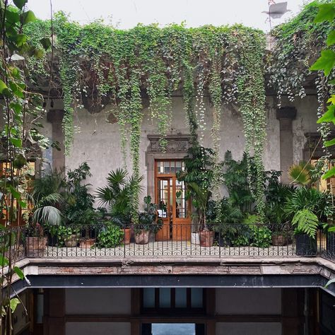 Nick Cutsumpas on Instagram: “Whenever I travel, I make sure to visit the local botanical gardens, plant shops, and farms, but @proyecto.publico.prim was something…” Wedding Venues In Mexico, City Wedding Decor, Mexico City Wedding, Plant Shops, Mexico Hotels, Small Intimate Wedding, Best Wedding Venues, Old Building, Large Weddings