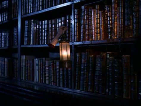 The Restricted Section, Harry Potter and the Philosopher's Stone Harry Potter Film Locations, Stone Aesthetic, Hogwarts Library, Harry Potter Painting, Potters House, Philosophers Stone, The Sorcerer's Stone, Harry Potter Houses, Harry Potter Costume