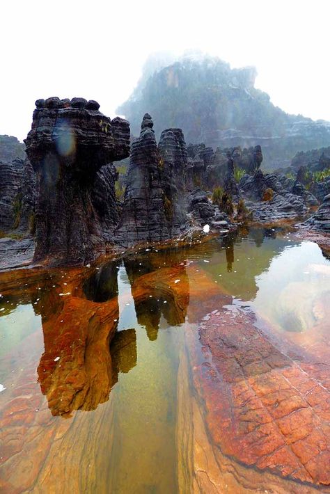 Beautiful Rock Formations, Rock Formations Natural, Monte Roraima, Mount Roraima, Helicopter Ride, Rock Formations, Fantastic Art, Fantasy Landscape, Places Around The World