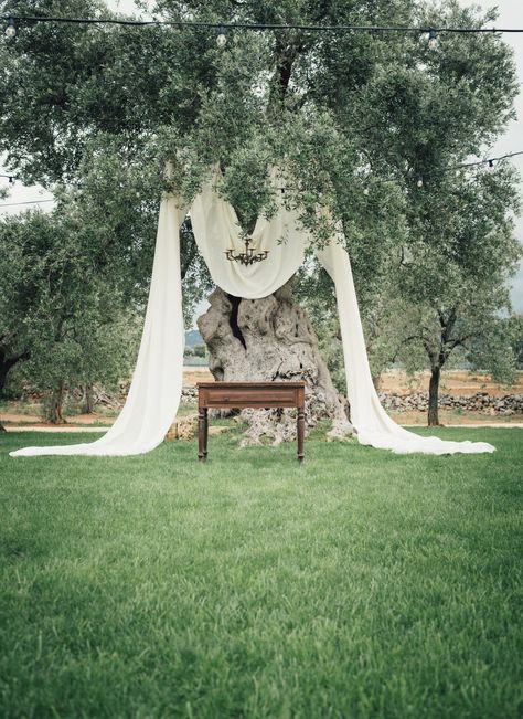 Tree Wedding Arch, Wedding Ceremony Places, Tree Wedding Ceremony, Park Wedding Ceremony, Jasmine Wedding, Small Backyard Wedding, Wedding Archway, Rustic Style Wedding, Wedding Ceremony Arch