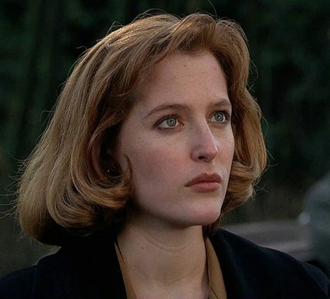 Mulder Scully, Fox Mulder, Dana Scully, David Duchovny, Human Reference, Gillian Anderson, X Files, Famous Women, Photo Reference