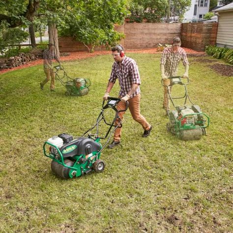 Reseeding Lawn, Lawn Repair, Lawn Work, Growing Grass, Sprinkler Heads, Diy Lawn, Aerate Lawn, Landscaping Retaining Walls, The Family Handyman