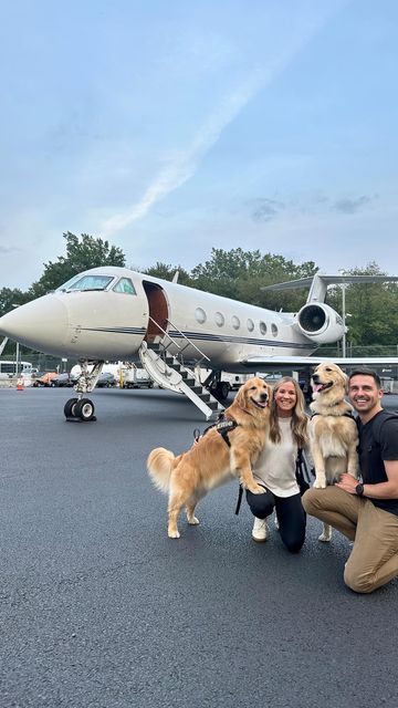 Golden Retriever And Husky Together, Dog On Private Jet, Husky And Golden Retriever Friends, Dog Airplane Travel, Golden Retriever Travel, Rich Wife, Private Plane, Cute Dog Pictures, Black Card