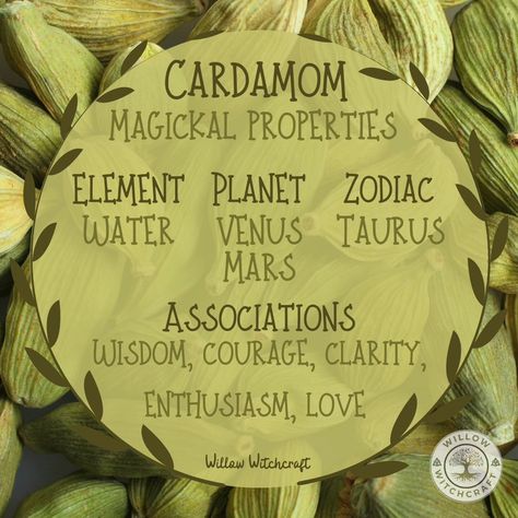 Cardamom Witchcraft, Herbal Witch, Magickal Herbs, Divine Feminine Spirituality, Magic Herbs, Kitchen Witchery, Diy Cleaning Solution, Magical Herbs, Candle Magick