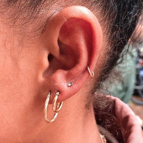 EAR CURATION on Instagram: “Triple lobe piercings and low mid-helix by @kanpatha 🌟 //image via @kanpatha 🌙” Mid Cartilage Piercing Hoop, Double Low Helix Piercing, Mid Cartilage Piercing, Triple Lobe, Triple Lobe Piercing, Triple Piercing, Three Ear Piercings, Cartilage Piercing Hoop, Minimalist Ear Piercings