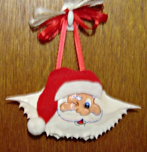 Crab Ornament, Crab Crafts, Crab Painting, Seashell Christmas Ornaments, Crab Art, Oyster Shell Crafts, Crab Shells, Santa Claws, Seashell Ornaments