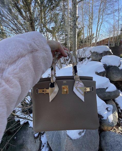 Birkin Twilly, Hermes Birkin Bag 25, Birkin 25 Etoupe, Hermes Birkin Etoupe, Hermes Etoupe, Birken Bag, Bag Twilly, Purse Aesthetic, Uni Bag