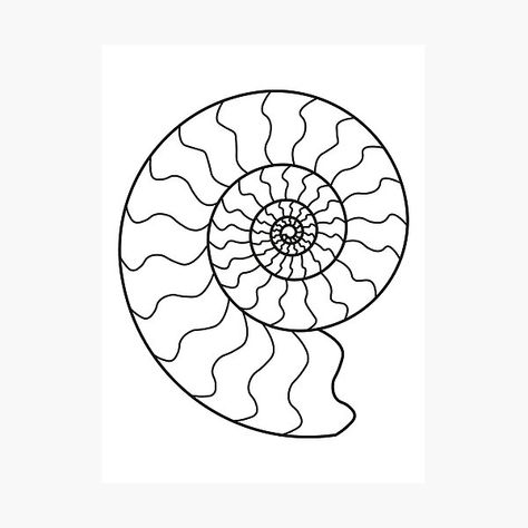 Ammonite Drawing, Fossil Drawing, Ammonite Tattoo, Fossil Tattoo, Tapestry Ideas, Fish Fossil, Dinosaur Bones, Doodle Ideas, Punch Needle