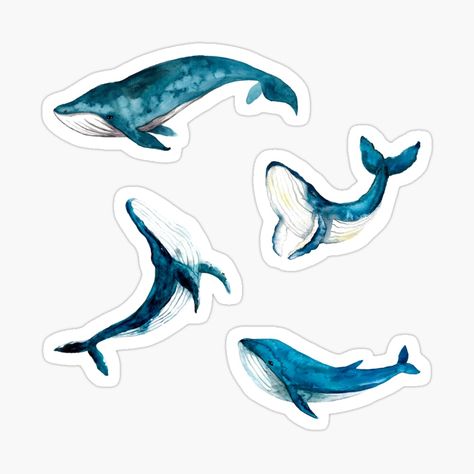 Get my art printed on awesome products. Support me at Redbubble #RBandME: https://www.redbubble.com/i/sticker/Blue-Watercolor-Whales-Ocean-Animals-Pack-by-DaisyPaints/100401588.EJUG5?asc=u Bts Whale, Watercolor Whales, Dark Beach, Save The Whales, Watercolor Whale, Whale Print, Scrapbook Stickers Printable, Decorate Notebook, Blue Whale