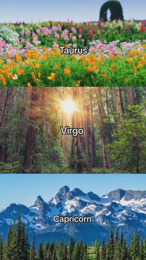 Virgo Funny, Earth Signs Zodiac, Zodiac Dragons, Virgo Energy, Infj Mbti, Horoscope Capricorn, Capricorn And Virgo, Element Earth, Virgo Moon