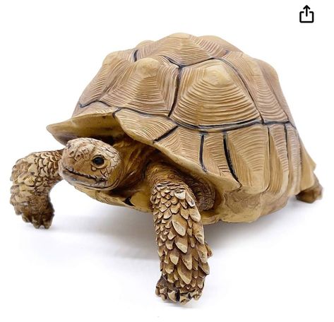 Indoor House Garden, Garden Diorama, Turtle Names, Sulcata Tortoise, Garden Gnomes Statue, Frog Decor, Box Turtle, Turtle Figurines, Figurine Collection