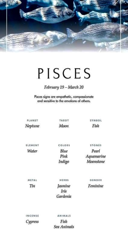 Paula Core, Pisces Constellation Art, Pisces Signs, Sidereal Astrology, Zodiac Signs Elements, Pieces Zodiac, Pisces Personality, Pisces And Aquarius, Pisces Tattoos