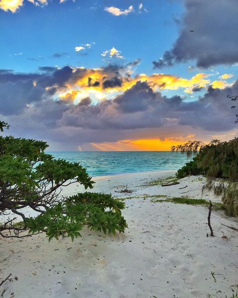 Heron Island, Gladstone, Queensland Oceanography Marine Biology, Land Of Oz, World Pictures, Island Resort, Queensland Australia, Beach Aesthetic, Beach Vibe, Australia Travel, Island Life