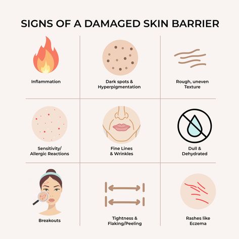 Damaged Skin Barrier, Skin Facts, Esthetician Marketing, Skin Advice, Skin Science, Skin Clinic, Dehydrated Skin, Skin Barrier, Skin Tips