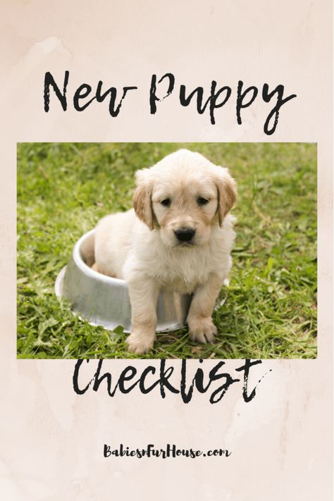 Congratulation on your new puppy! Here's a list of everything you'll need to get started so you have more time for fun!  Babiesnfurhouse.com Surprise Puppy Reveal Kids, Puppy Schedule, New Puppy Checklist, Puppy Checklist, Shepherd Dog Breeds, Potty Training Puppy, Cute Dog Pictures, Free Print, Dogs And Kids