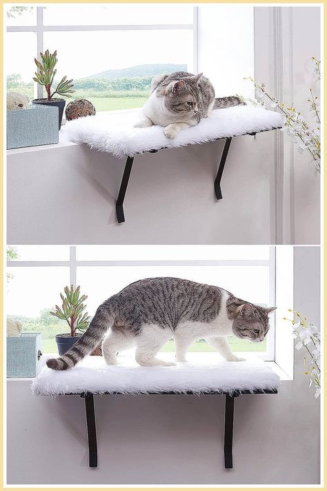 Cat Accessories - Lack of Time? Stop searching and buy them from Amazon.com - Visit NOW!! Window Seat For Cats, Cat Room Ideas Small Spaces, Space Gadgets, Cat Enrichment, Cat Laser Toy, Cat Exercise Wheel, Kitty Room, Interesting Furniture, Cat Proofing