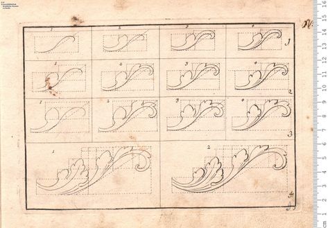 Filigree Design Drawing, How To Draw Filigree Step By Step, How To Draw Filigree, How To Draw Ornaments, Filigree Drawing Step By Step, Acanthus Leaf Tattoo, Acanthus Pattern, Acanthus Leaf Drawing Tutorial, How To Draw Acanthus Leaves