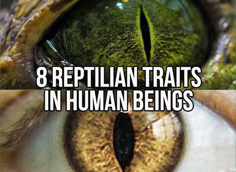 Reptilian People, Human Dna, Bad People, Witchcraft Spell Books, Aliens And Ufos, Good And Bad, Bad Person, Ancient Aliens, Human Nature